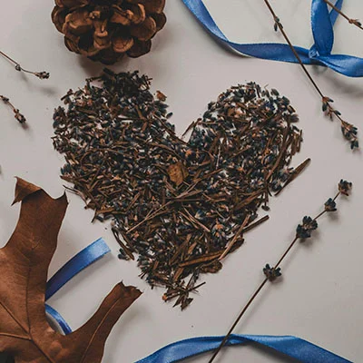 巨人clash终极指南：从入门到精通的全面战略解析