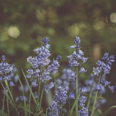 2021年V2Ray机场深度测评：解锁网络自由的终极指南