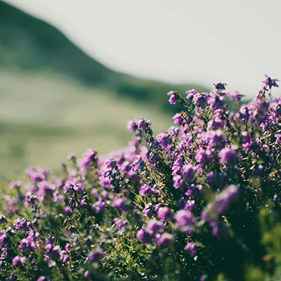 破解系统瓶颈：全面解读冲突窗口的成因、影响与解决之道