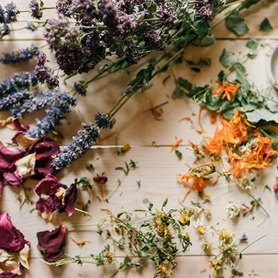 Clash订阅链接获取全攻略：从入门到精通的实用指南