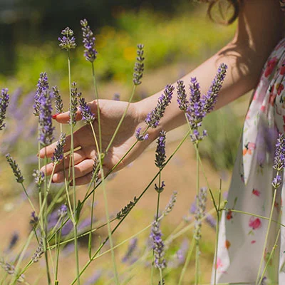 鸿蒙系统下V2Ray无法正常使用的深度解析与实用解决方案