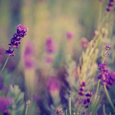 CLASH文件导入失败全解析：从问题根源到完美解决方案