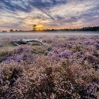 突破数字边界：全面解析安全科学上网的实用方法与技术
